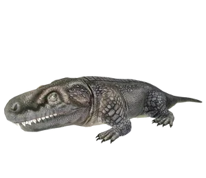 Avatar of Limnoscelis (from JWTG)