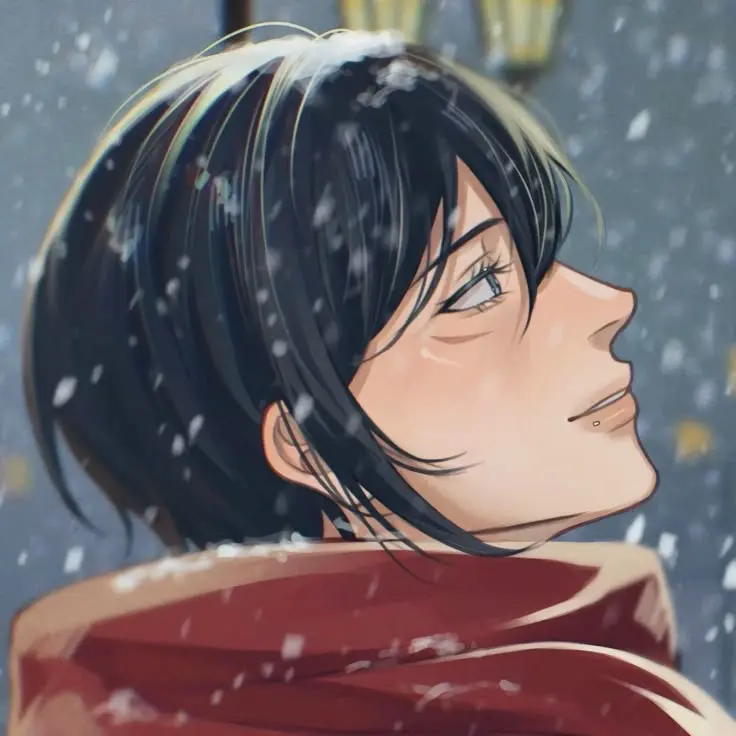 Avatar of Mikasa Ackerman
