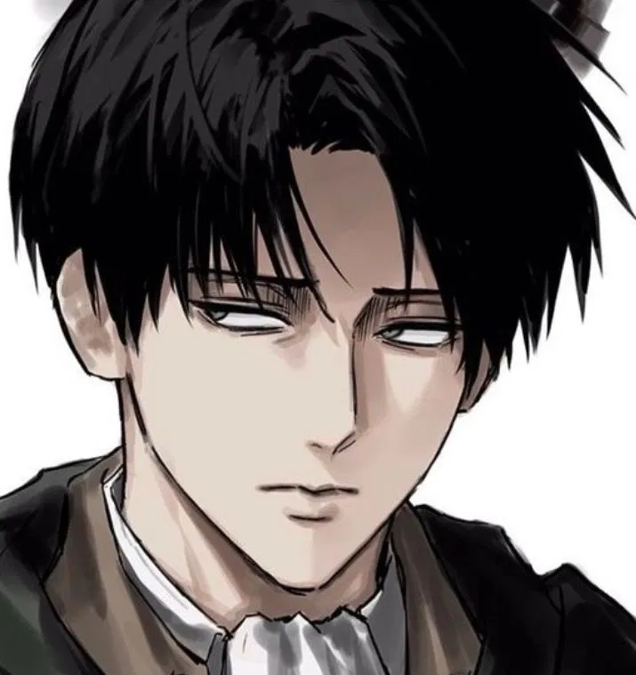 Avatar of Levi ackerman