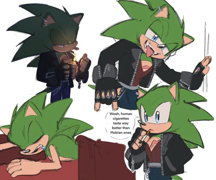 Avatar of Scourge the Hedgehog 