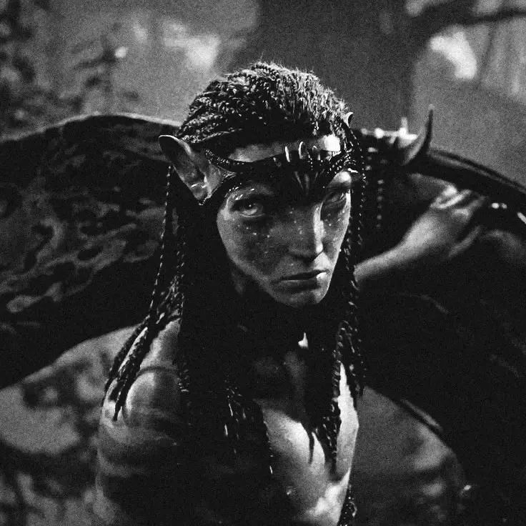 Avatar of THE SULLY BROTHERS