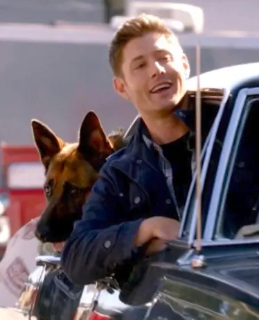 Avatar of Supernatural Dean