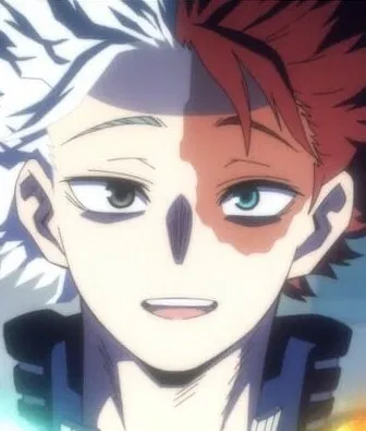 Avatar of Shoto got hit by a quirk