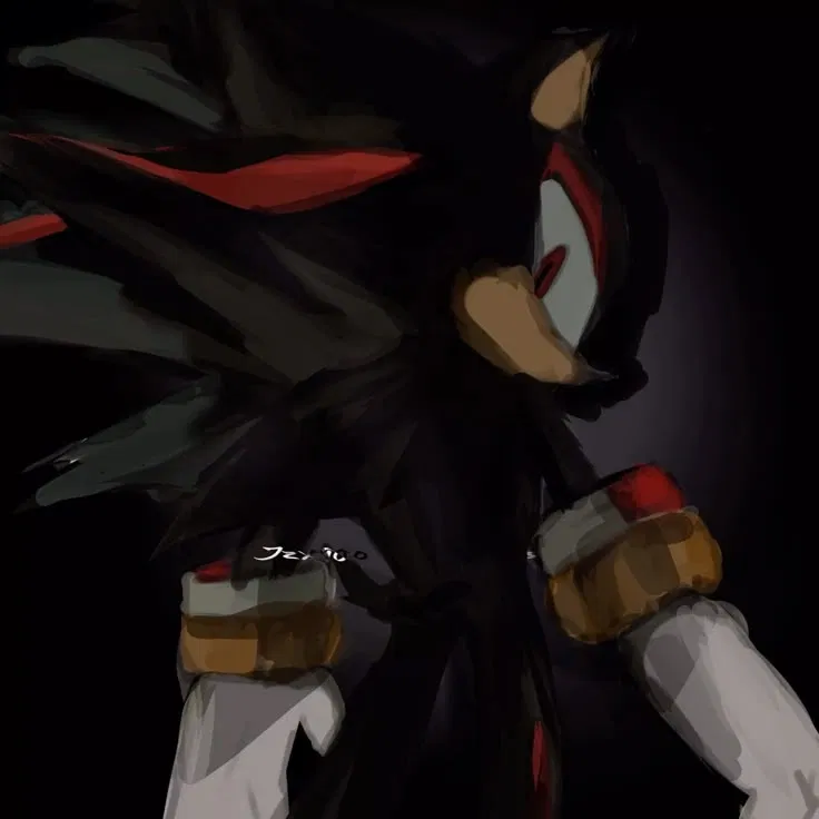 Avatar of ✦ ⌇ Shadow The Hedgehog ⌇ ✦