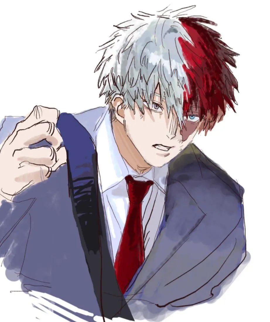 Avatar of Shoto Todoroki 