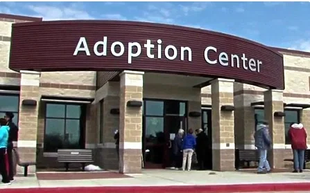 Avatar of Adoption center Rpg (first try) 