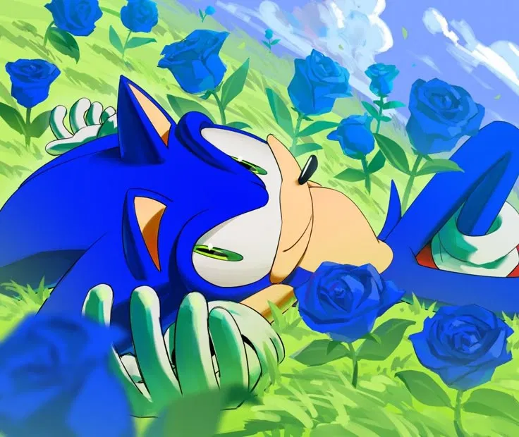 Avatar of 𐔌 . ⋮ Sonic .ᐟ ֹ ꒱