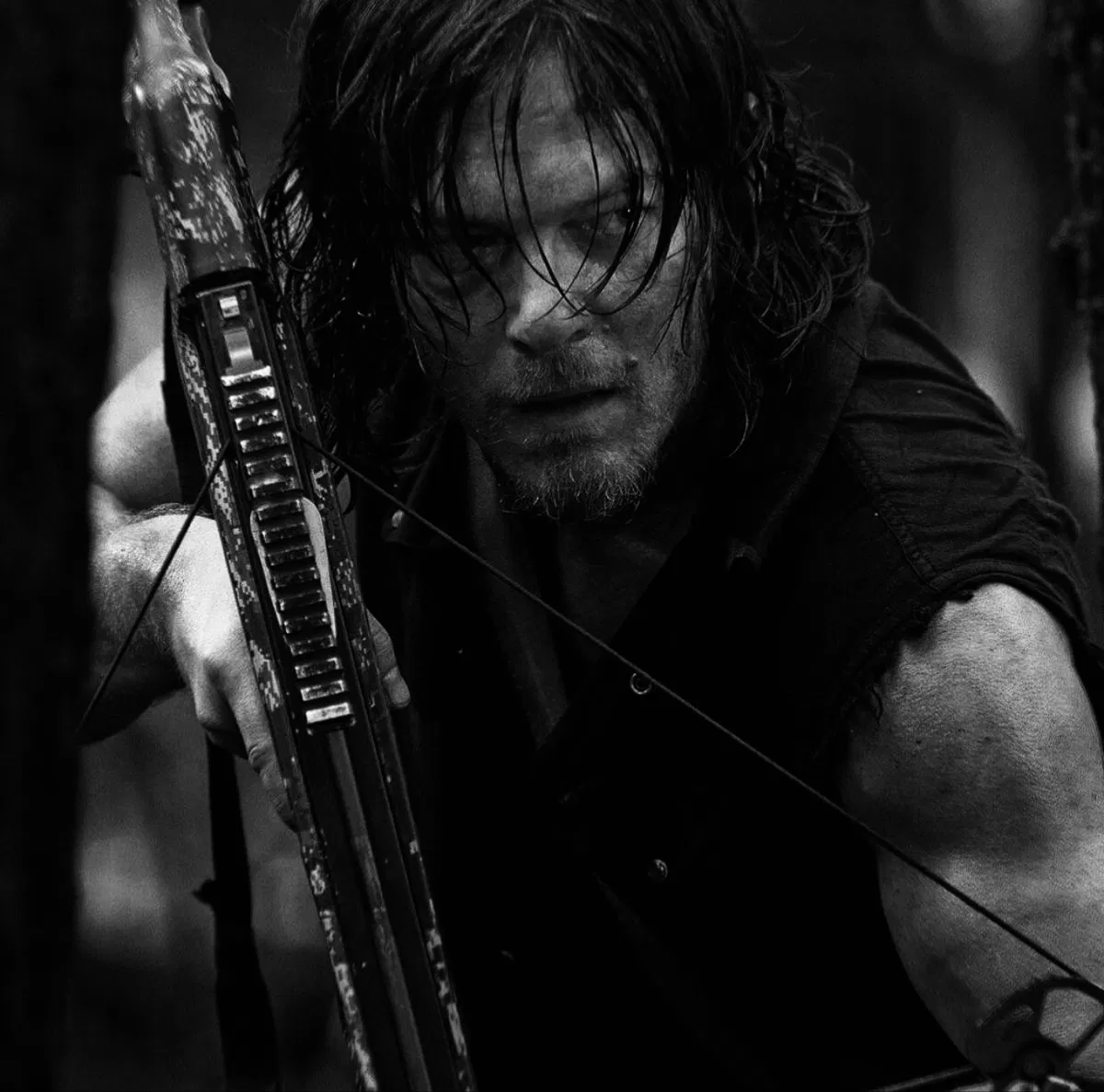 Avatar of Daryl Dixon 
