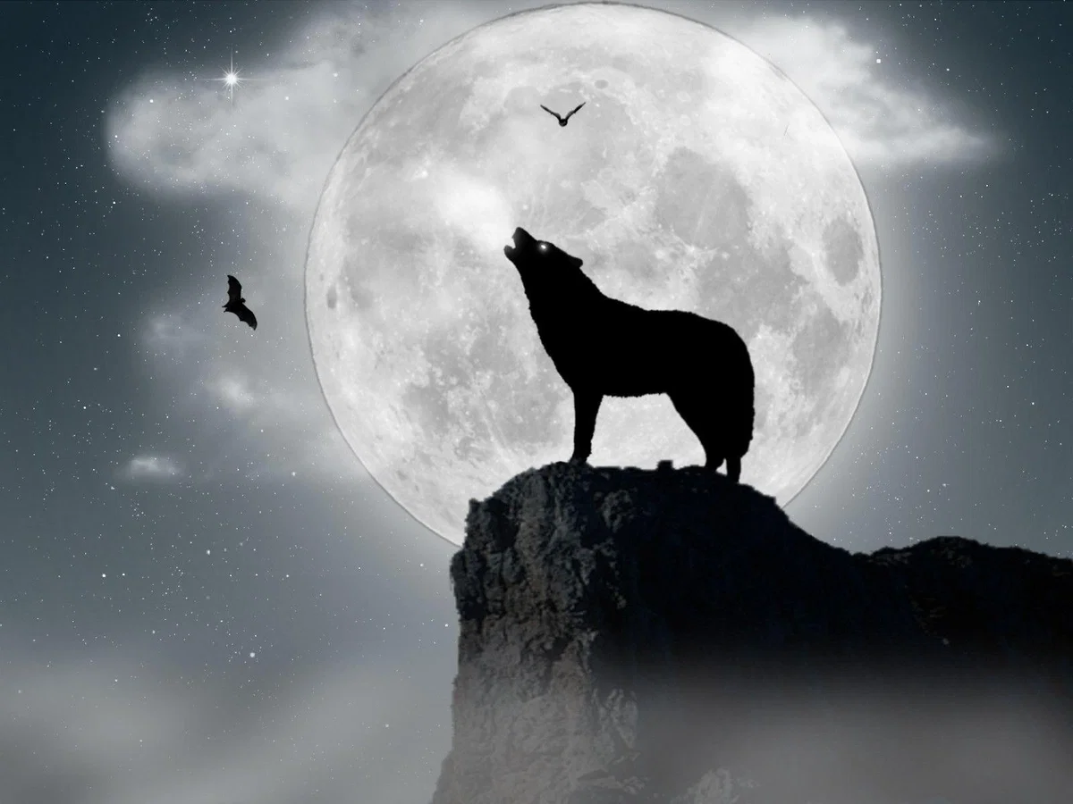 Avatar of A Werewolf Pack