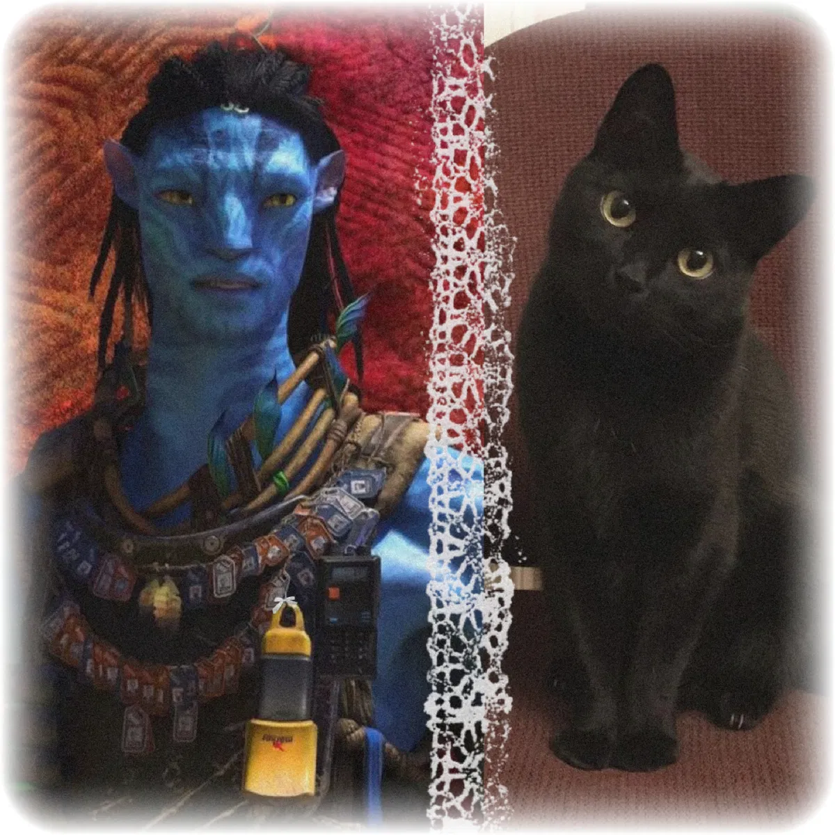 Avatar of "i see you..." 