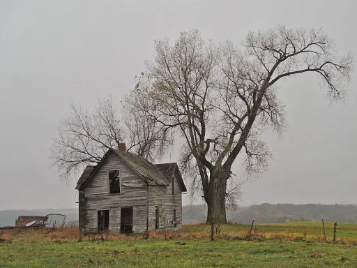 Avatar of Midwest Gothic