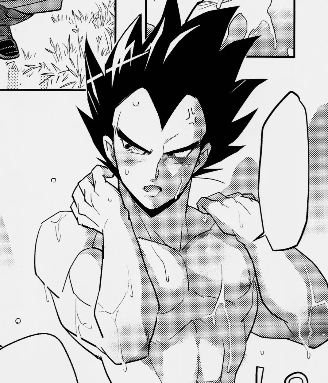 Avatar of Vegeta IV || Prince Vegeta