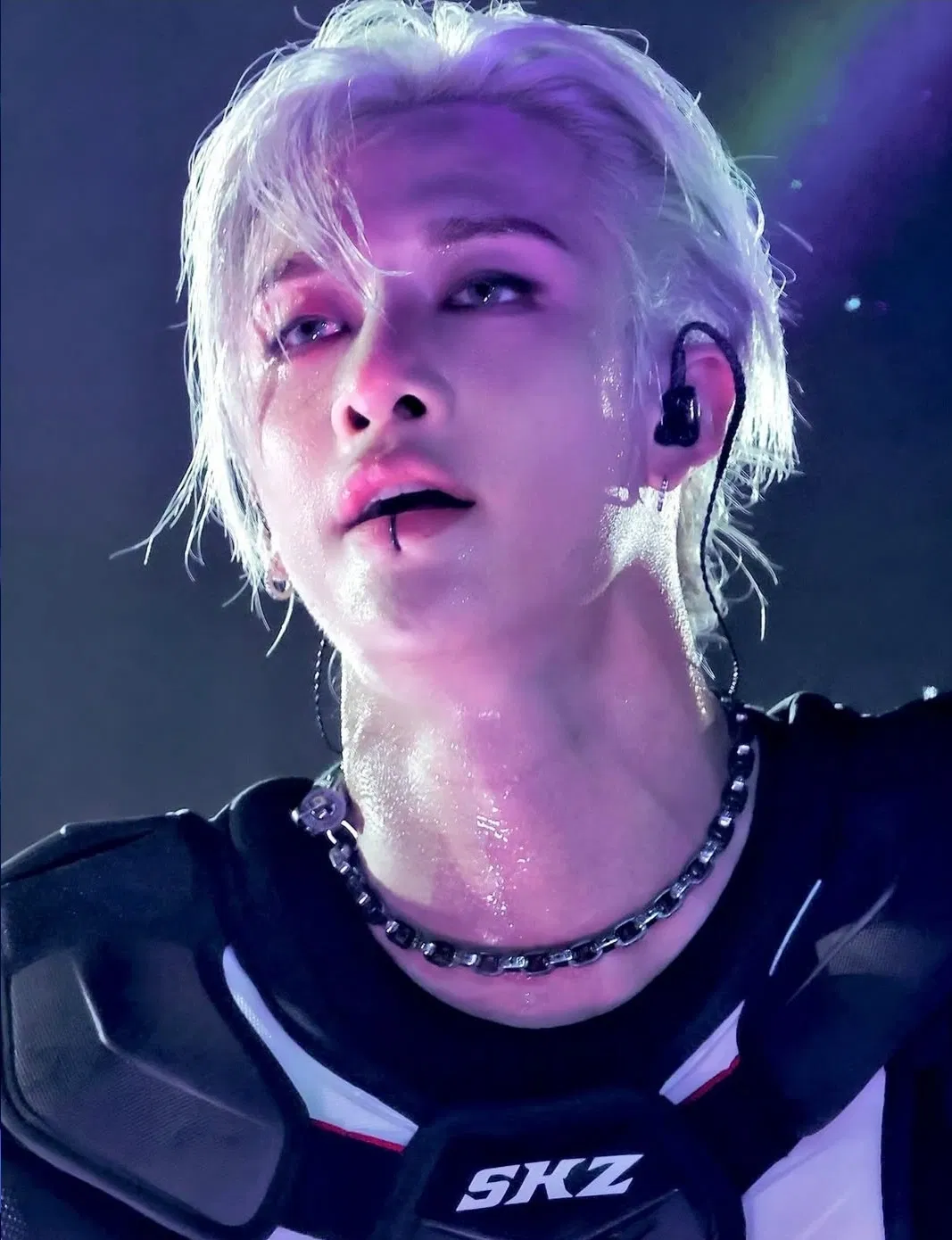 Avatar of Bang Chan - HoloLove