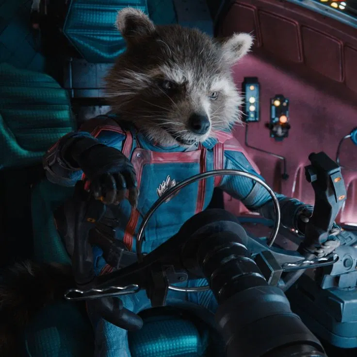 Avatar of Rocket Racoon