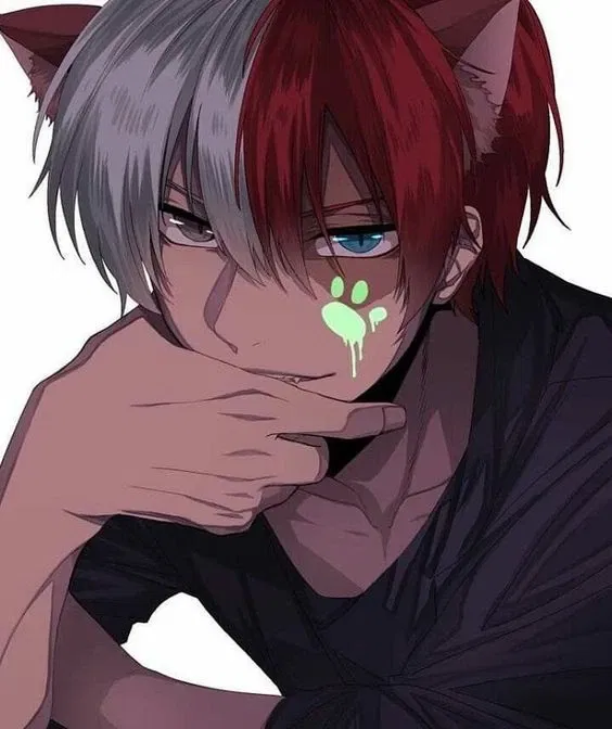 Avatar of Alpha Shoto Todoroki