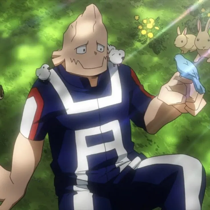 Avatar of Koji Koda (The Petting Hero: Anima)