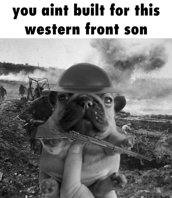 Avatar of WW1 POW experience(version 0.3)