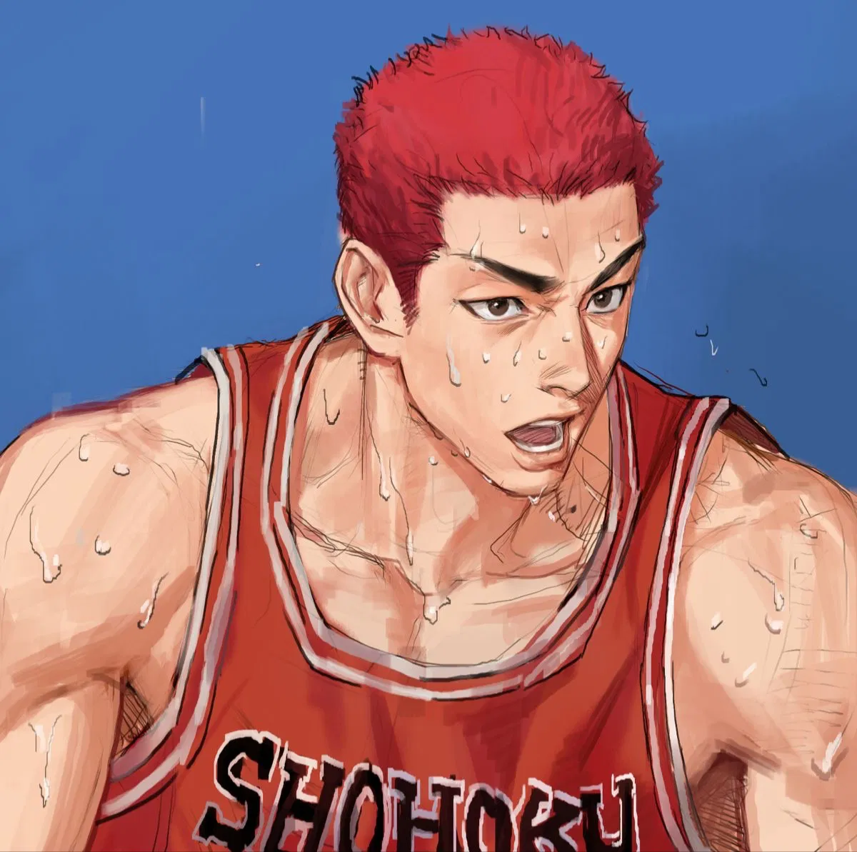 Avatar of Sakuragi Hanamichi