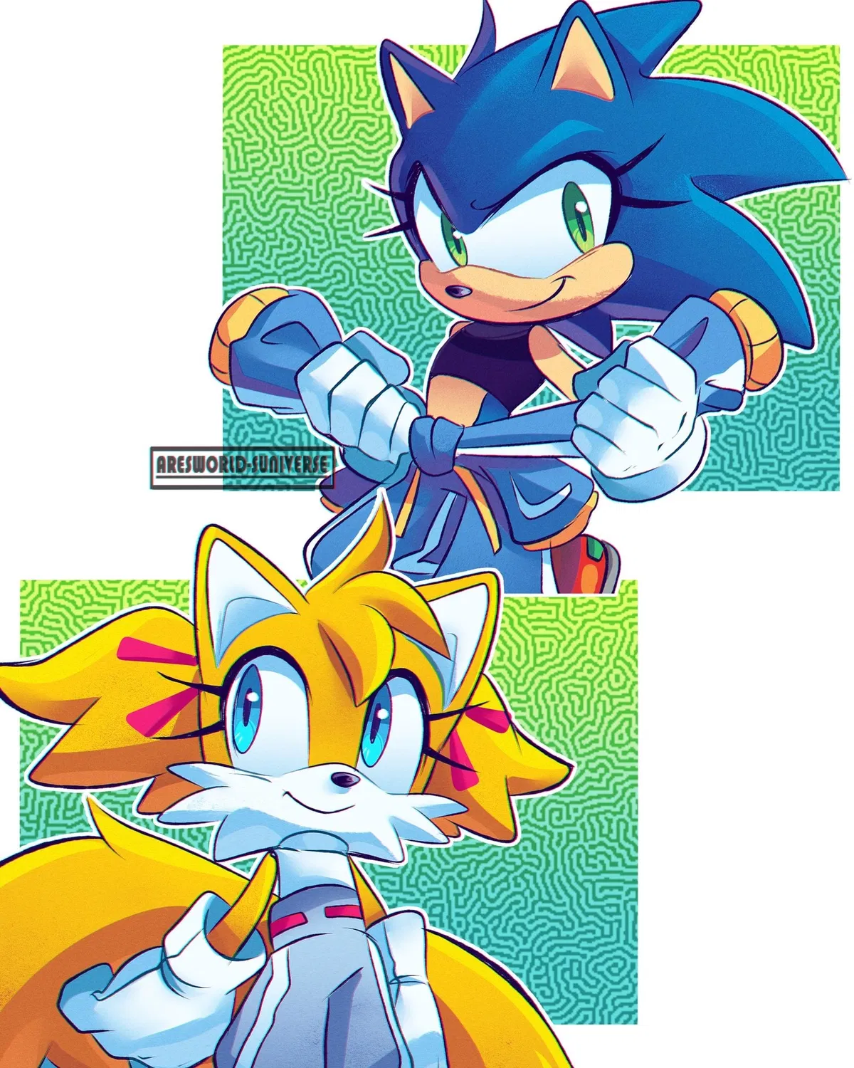 Avatar of Sonic Genderbent