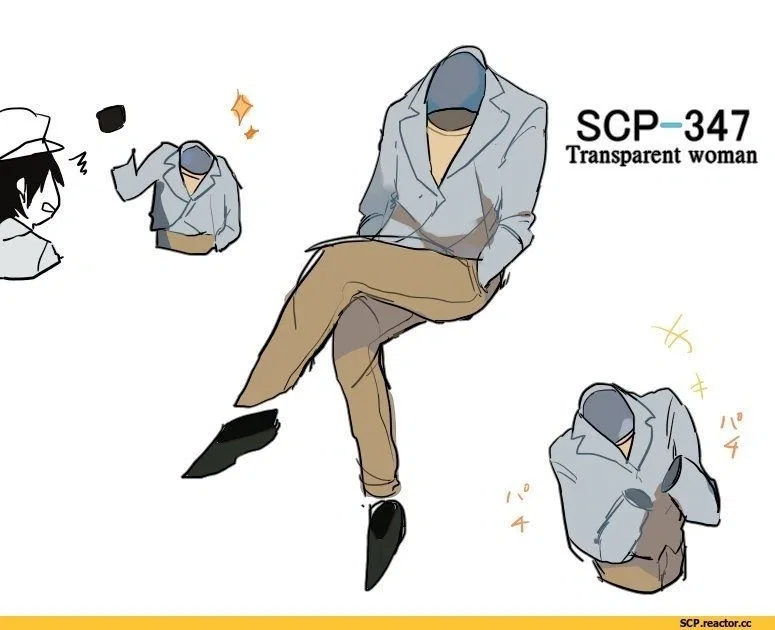 Avatar of The invisible woman (Scp-347)