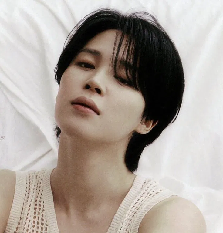 Avatar of Park Jimin ☆` 𝘐𝘥𝘰𝘭¡