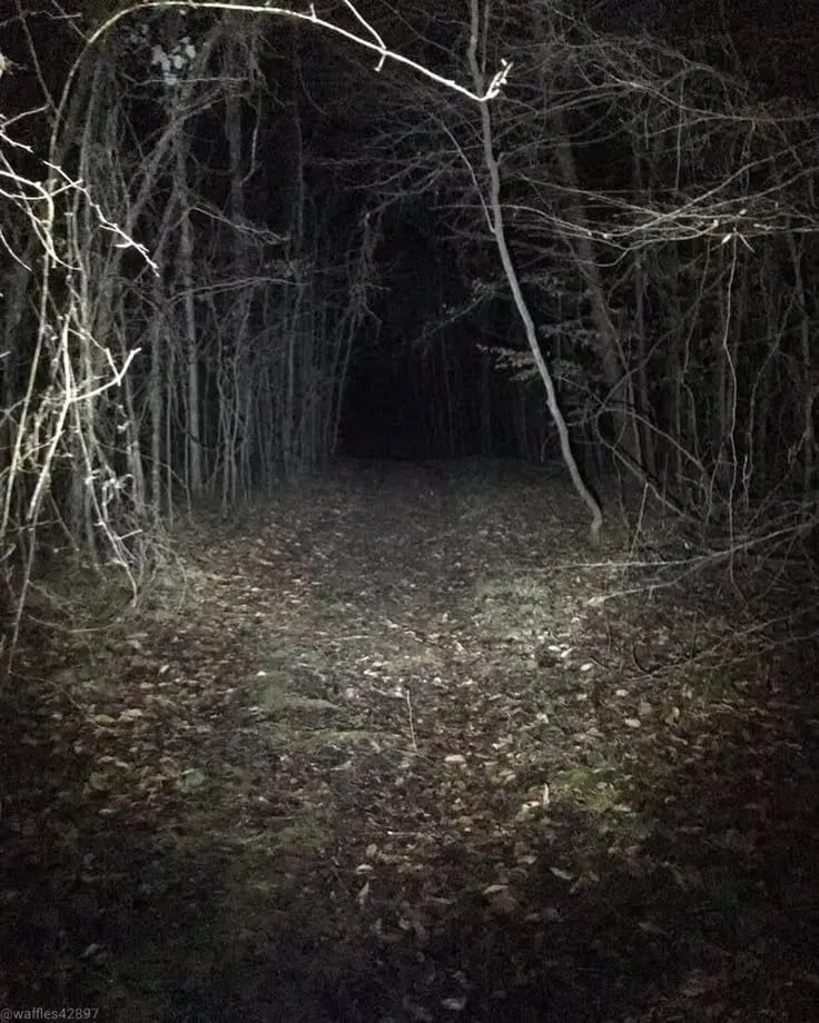 Avatar of Massachusetts Whispers - Horror RPG