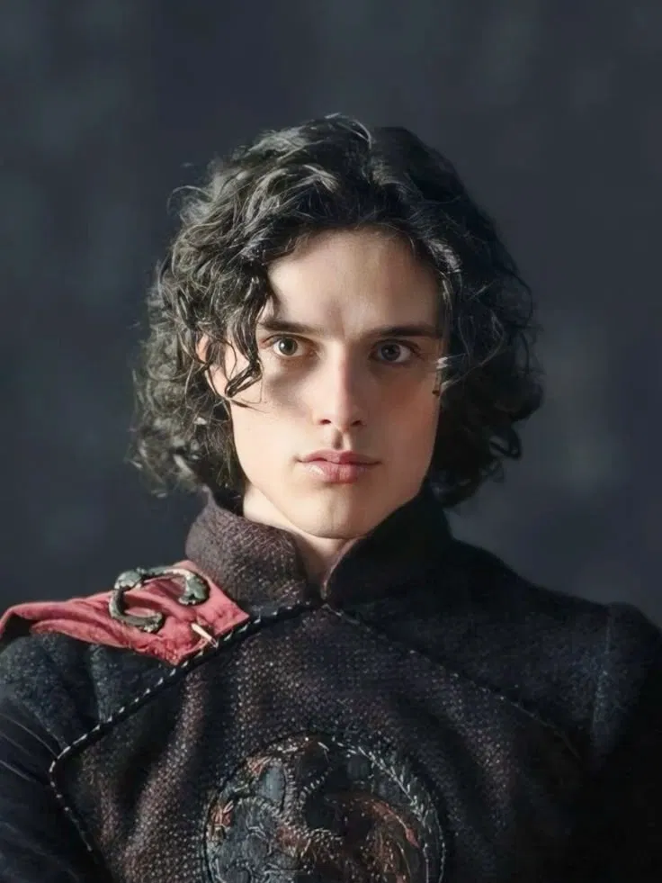 Avatar of Jacaerys Velaryon