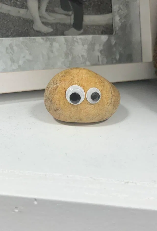 Avatar of Your Pet Rock