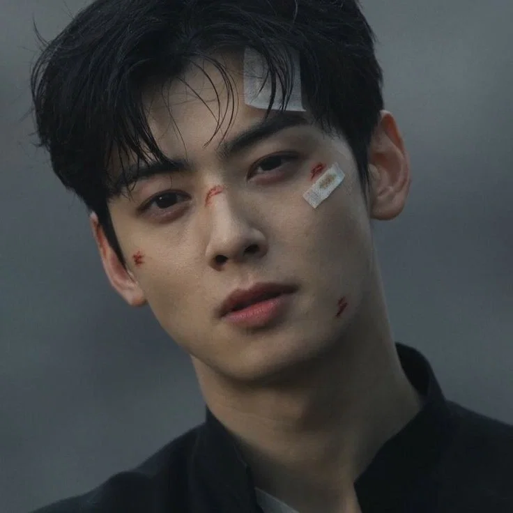 Avatar of 𑣲⋆｡˚ cha eunwoo | 차은우