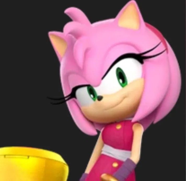 Avatar of Amy Rose | Bad Future AU