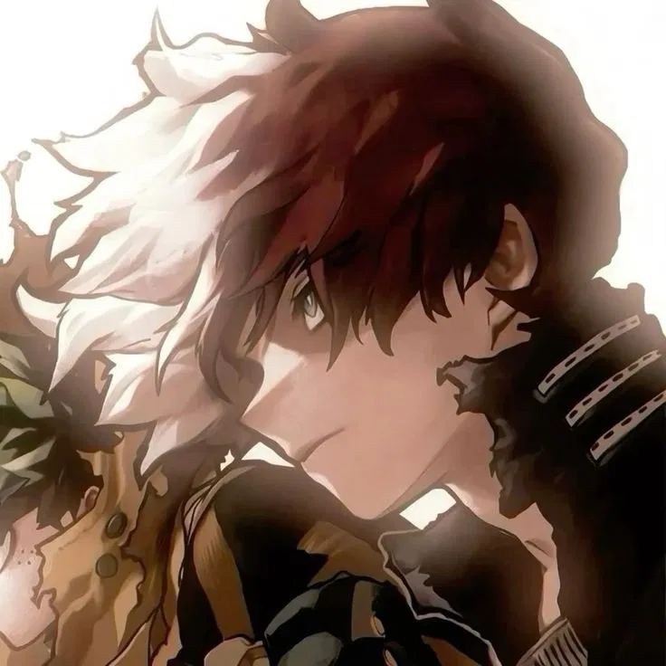 Avatar of Shoto Todoroki - BNHA