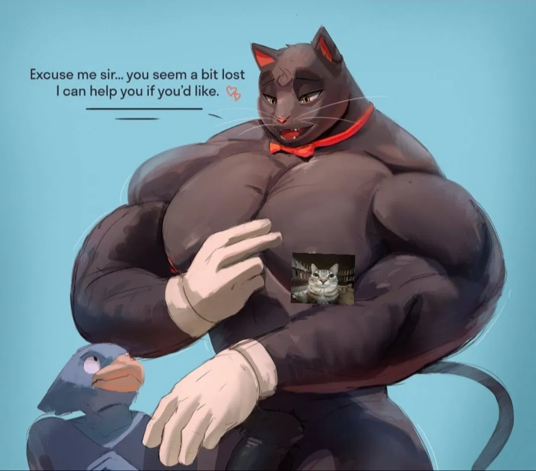 Avatar of Felix