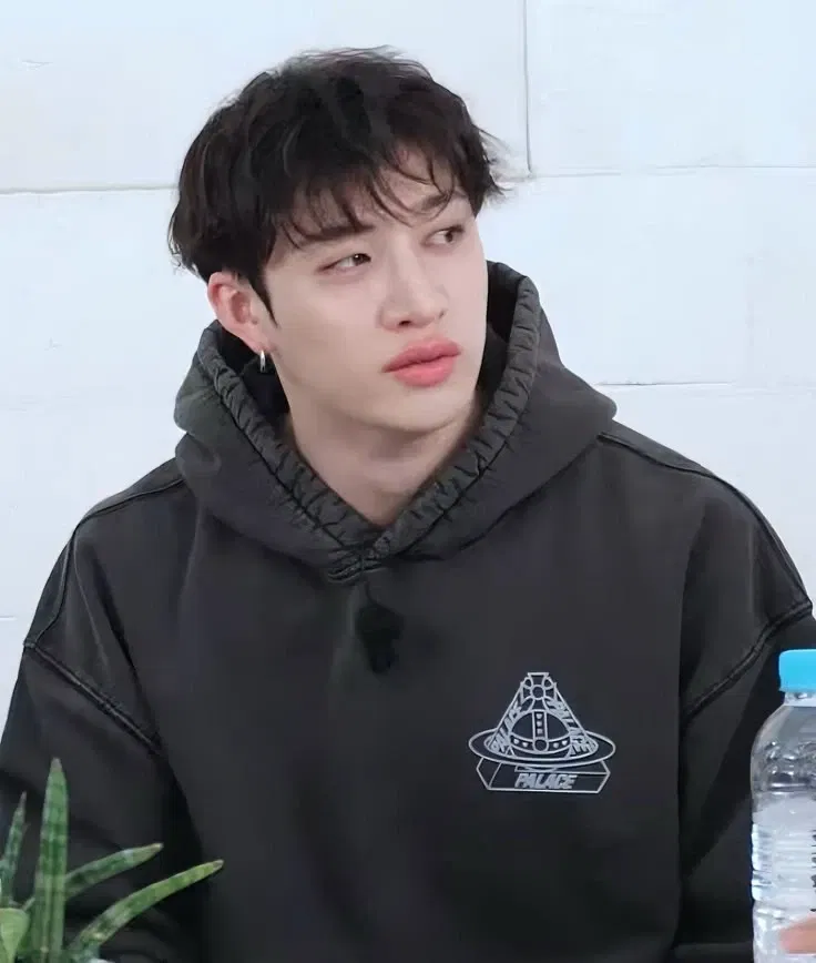 Avatar of Bang Chan
