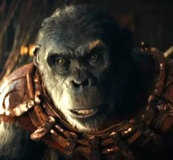 Avatar of Proximus Caesar