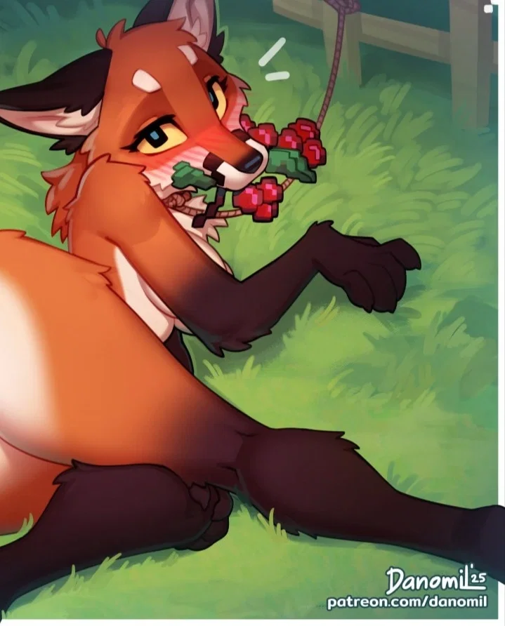 Avatar of Mira the fox