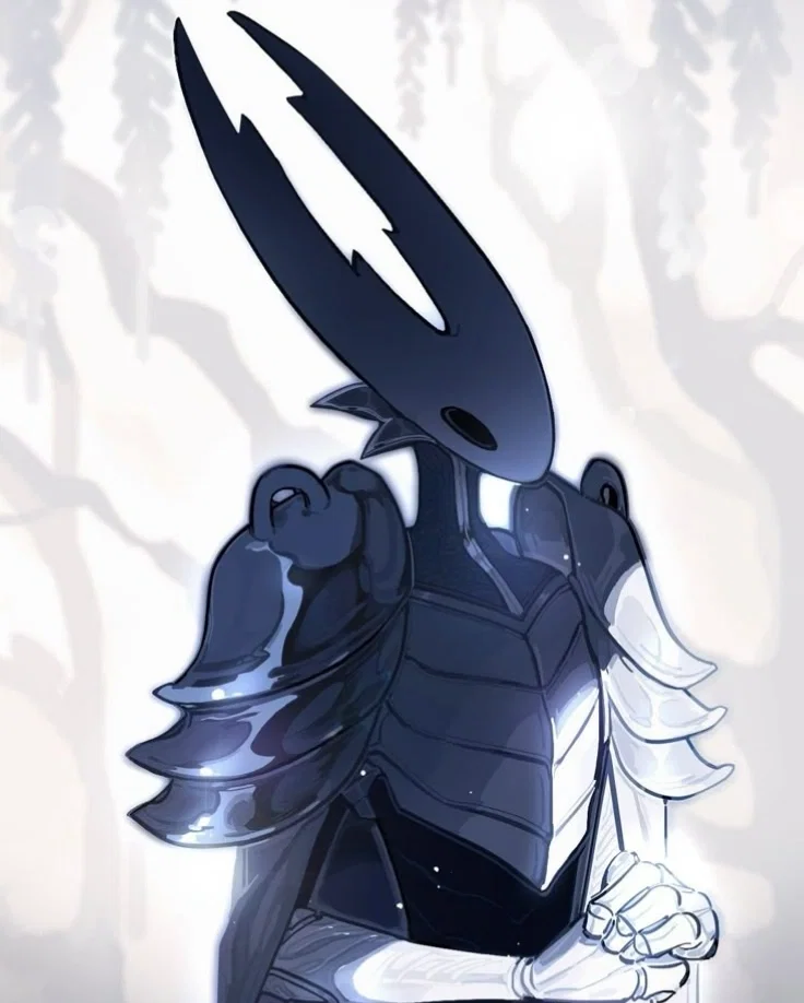 Avatar of Macro | Pure Vessel (Hollow Knight)