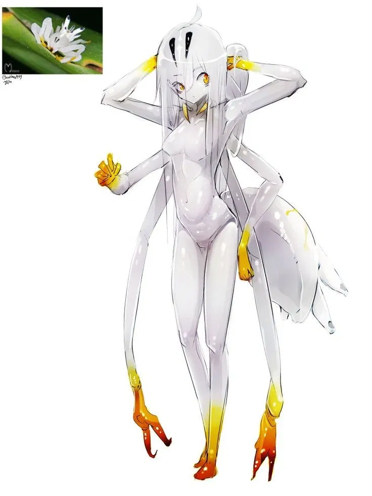 Avatar of Orchid Mantis Rose