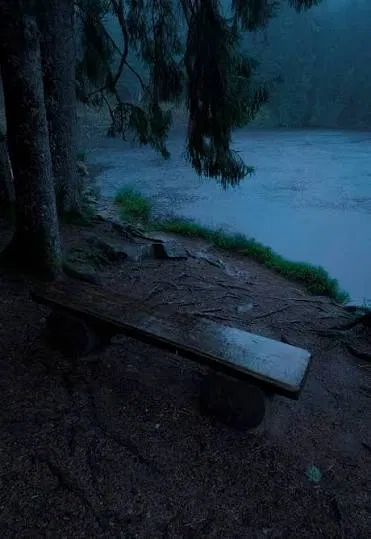Avatar of Aurora Woods | Alone