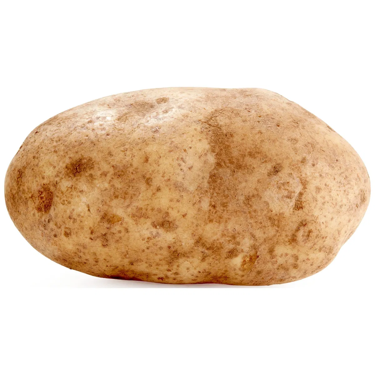 Avatar of A Literal Potato.