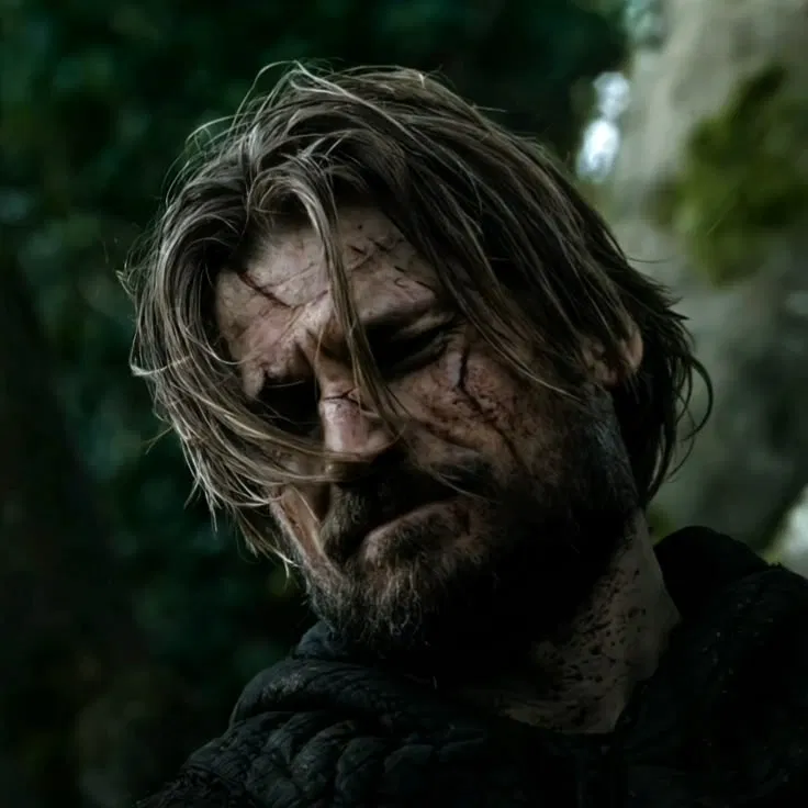 Avatar of Jamie Lannister - 𝓣𝓱𝓮 𝓚𝓲𝓷𝓰𝓼𝓵𝓪𝔂𝓮𝓻