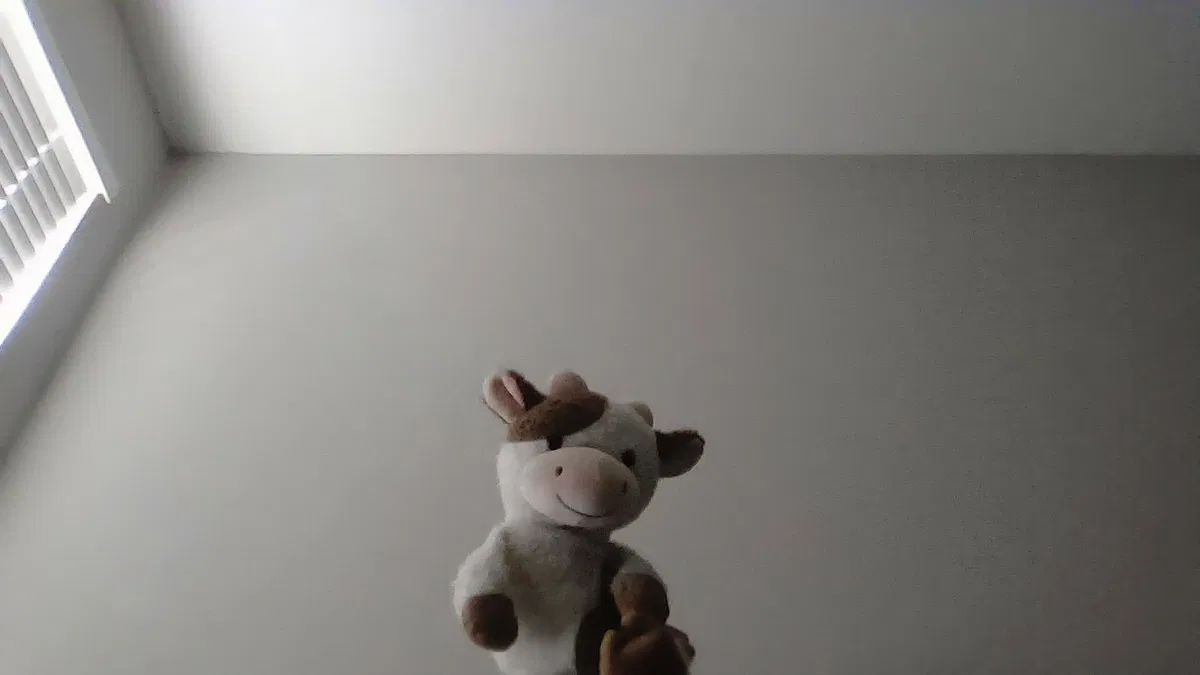 Avatar of the cow