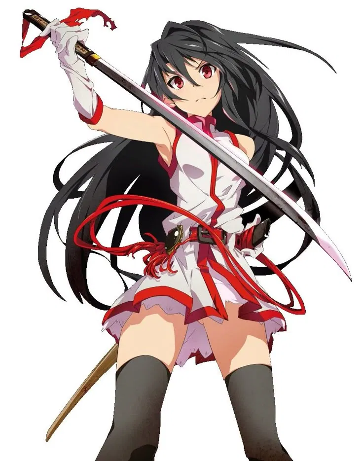 Avatar of Akame:The Beginning