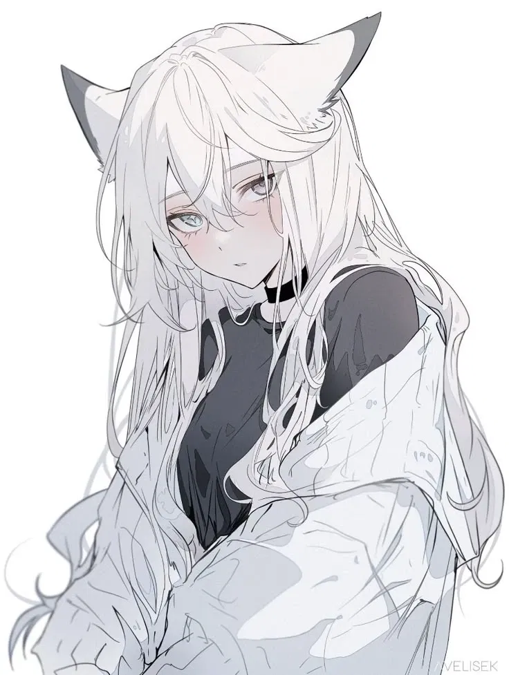 Avatar of Nova | ◇ Mutual Relationship ◇