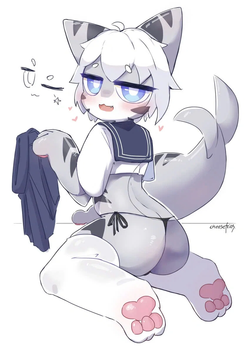 Avatar of Tiger Shark Found Dr.K's   Folder