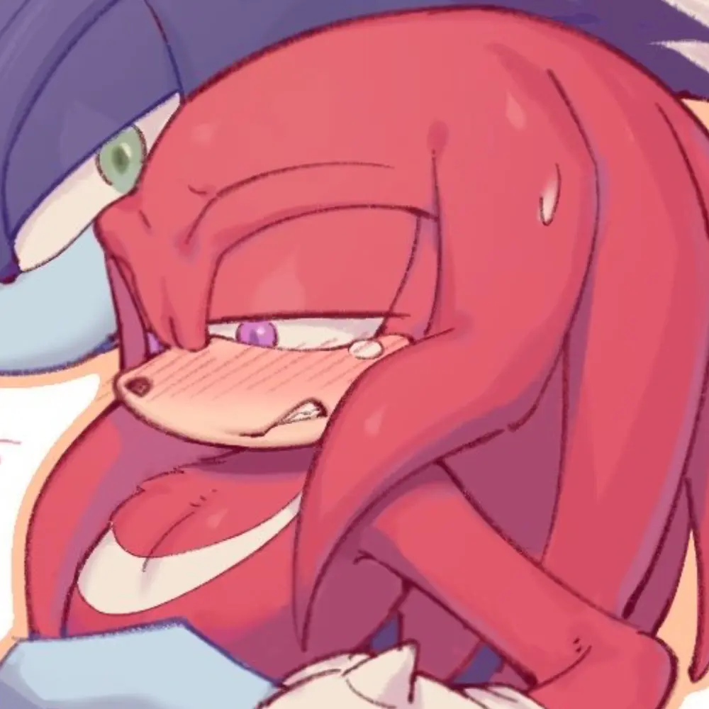 Avatar of ˚₊۶ৎ˙⋆ Knuckles The Echidna