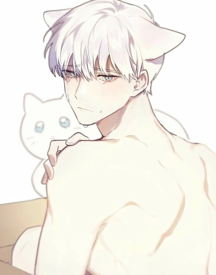 Avatar of ✦  Yuki 