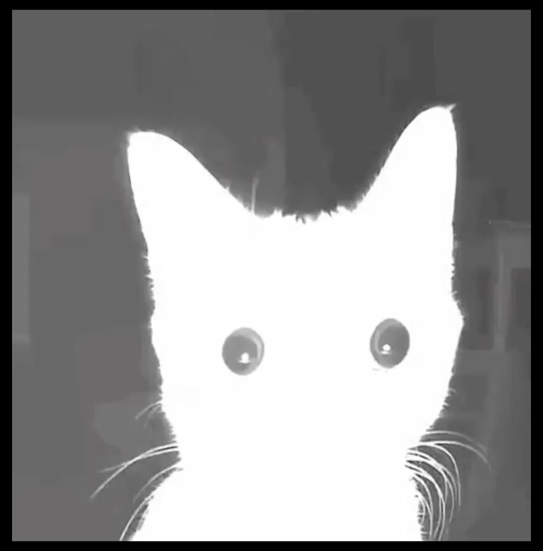 Avatar of I have a question