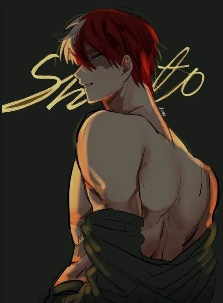 Avatar of Shoto Todoroki — FWB Edition