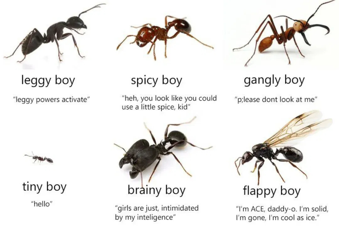 Avatar of the ant colony