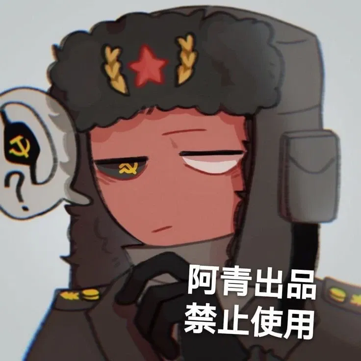 Avatar of ❄️┊Soviet Union~